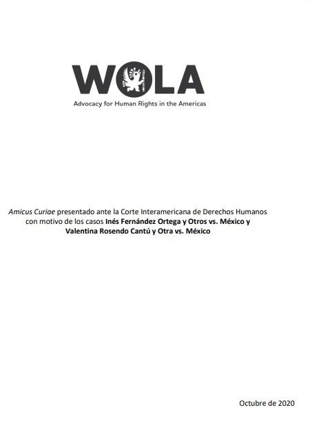 Amicus Curiae presentado ante la Corte Interamericana de Derechos Humanos