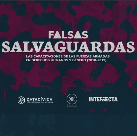 Falsas Salvaguardas: La capacitación de las fuerzas armadas en Derechos Humanos y Género (2010 - 2029)
